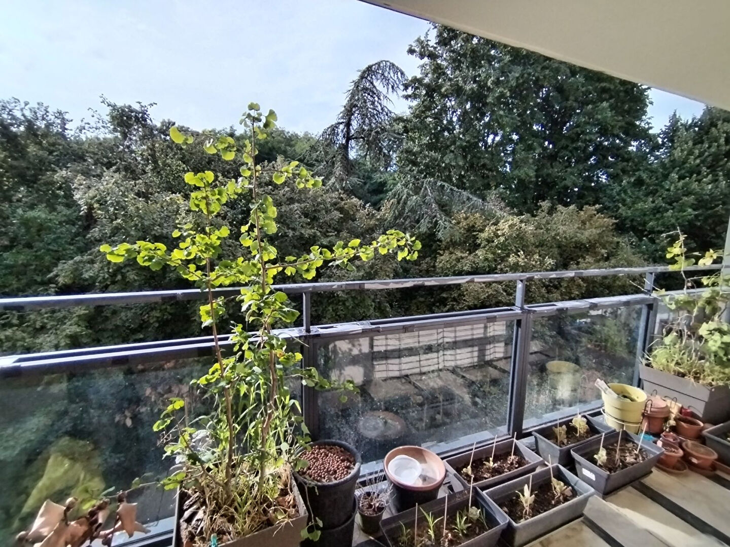 À vendre ? Appartement 2 pièces avec loggia et parking à Sceaux