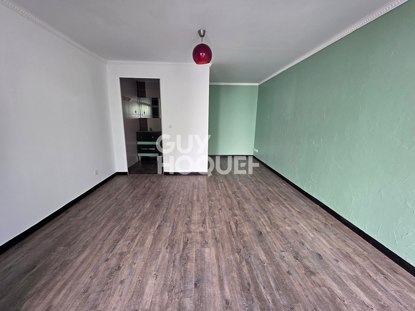 LOFT COUP DE COEUR - DPE D - JARDIN - GARAGE