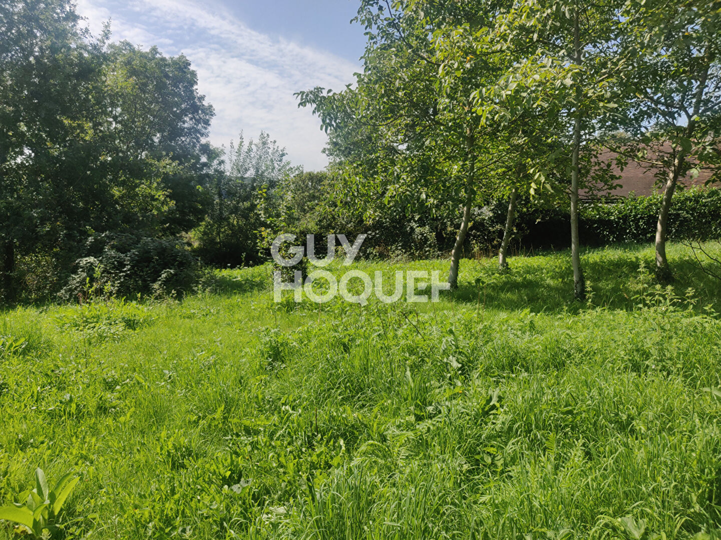 Terrain Le Val Saint Germain 1566 m²