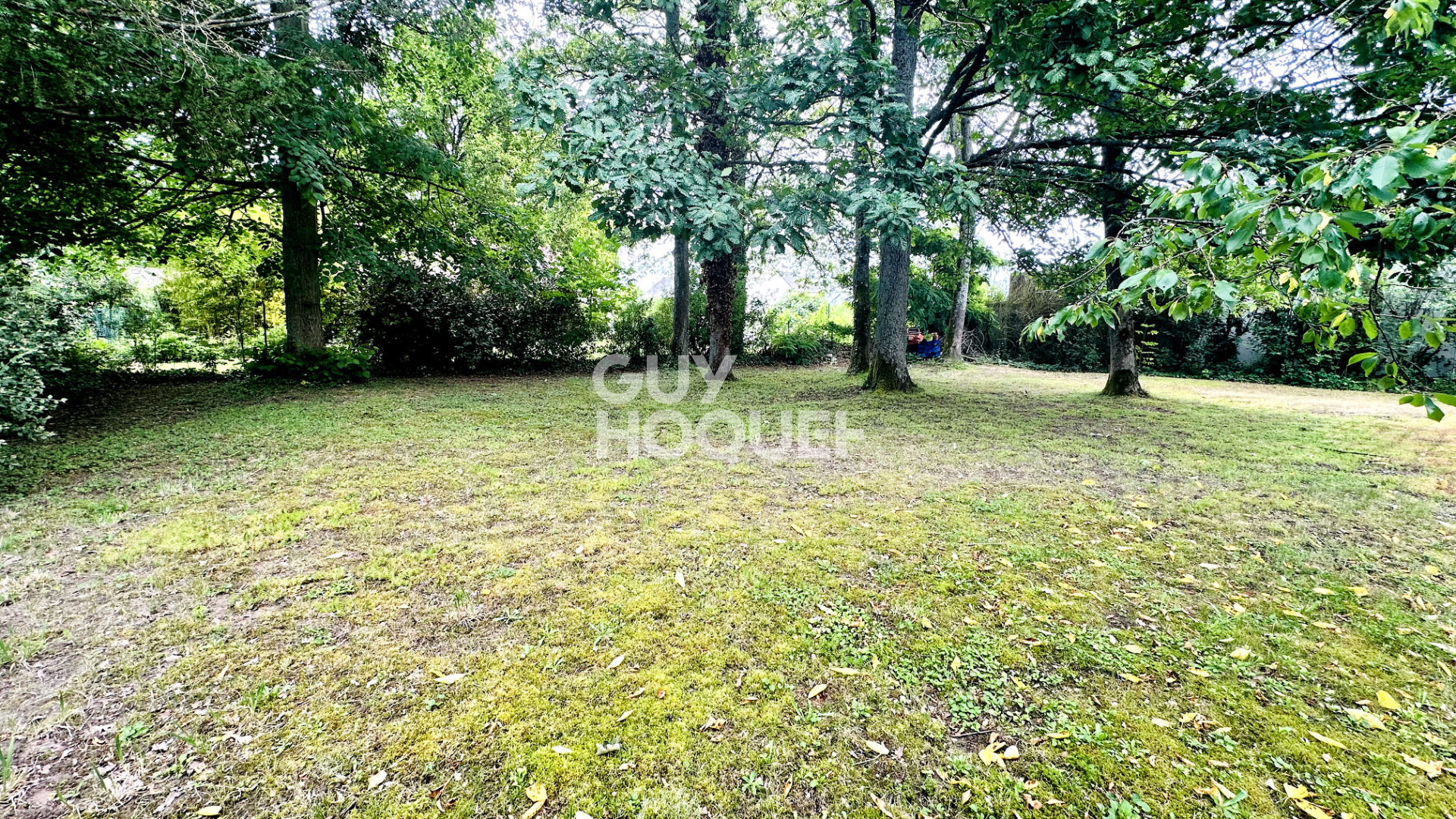 Terrain Forges-les-bains 590 m2