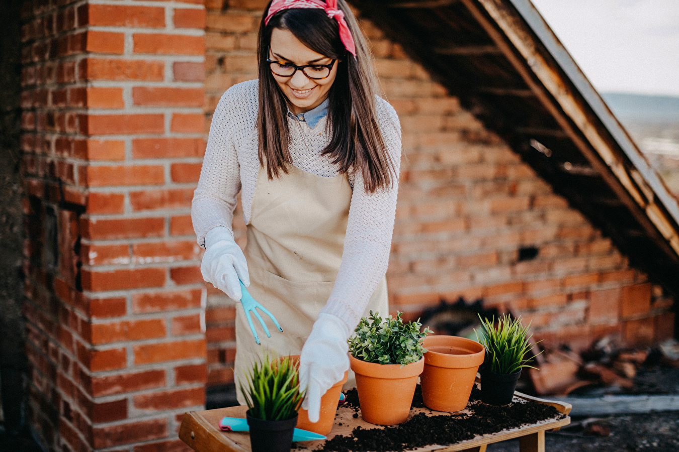 Le potager, un plaisir plébiscité par les Français