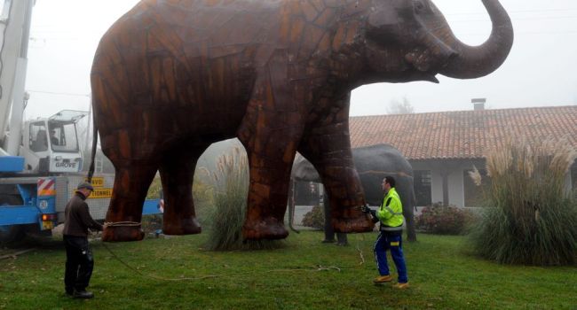 L'éléphant géant vient de traverser l'Agenais