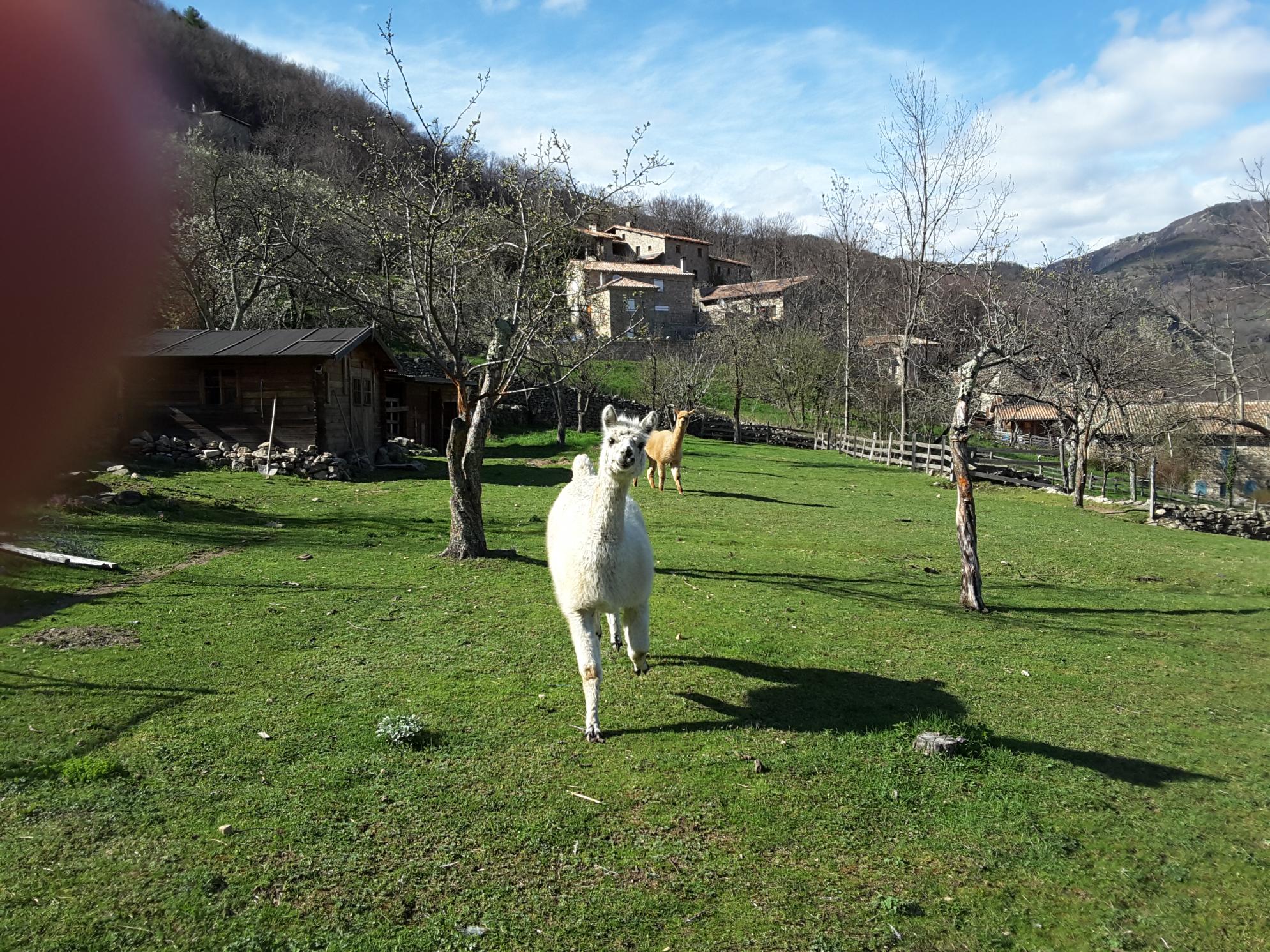 Agent Immobilier, un métier dangereux ?