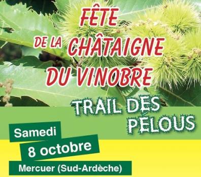 TRAIL DES PELOUS -