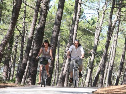 le vélo dans les Landes