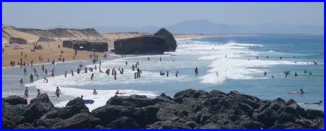 La demande en biens immobiliers à CAPBRETON