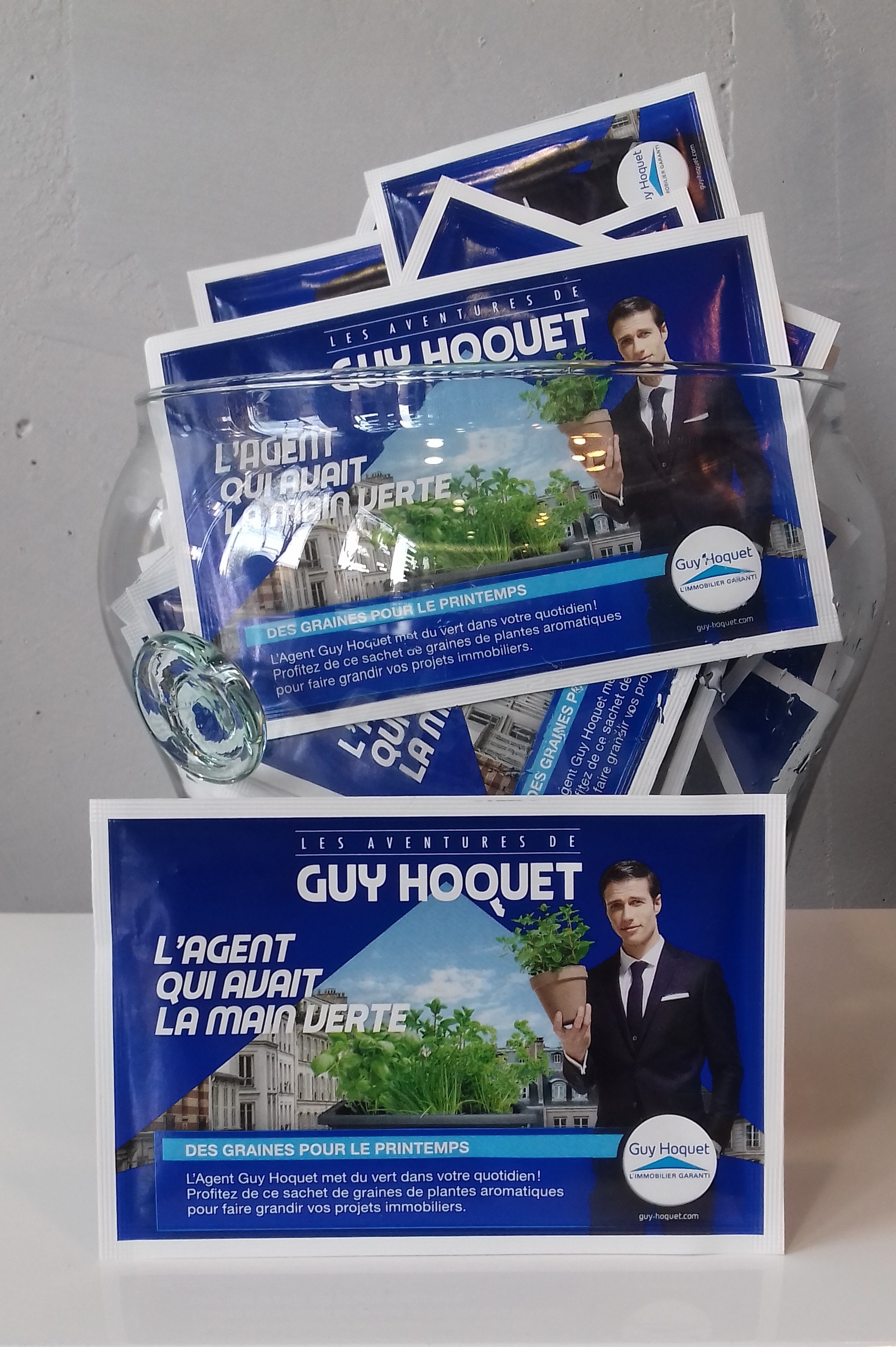 GUY HOQUET Lyon 3 fait germer votre projet immobilier