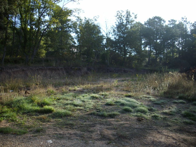 BAGNOLS EN FORET