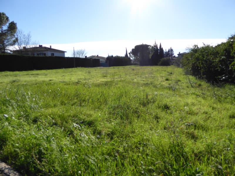TERRAIN