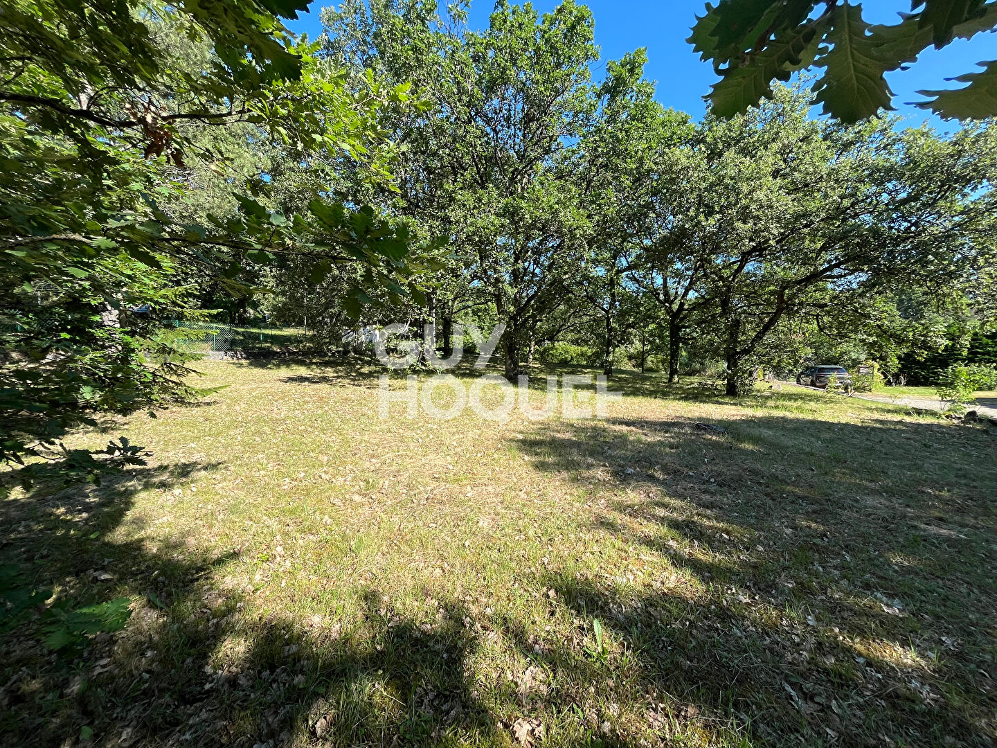 Terrain
