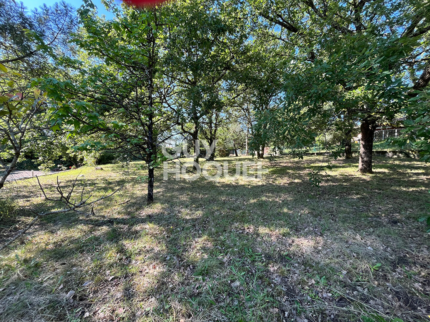 Terrain