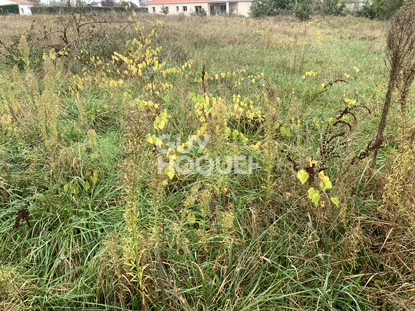 TERRAIN FRONTON 2 732 m²