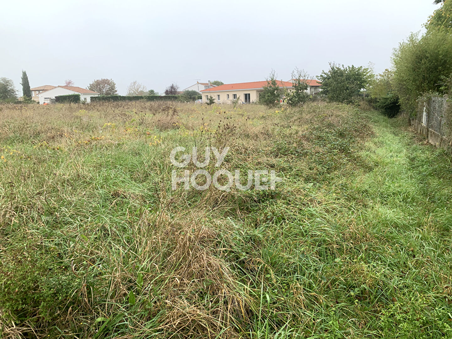 TERRAIN FRONTON 1 593 m²