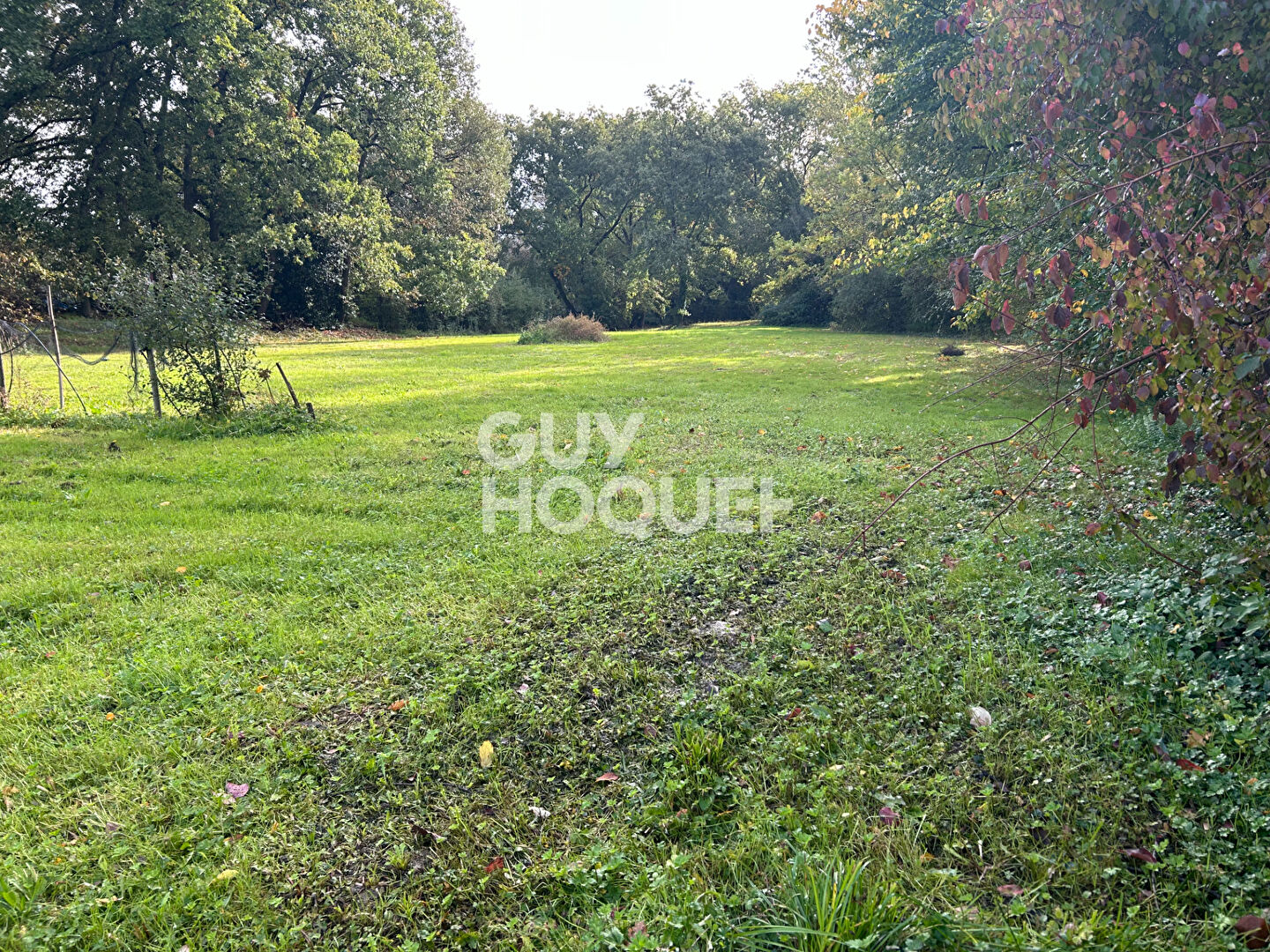 Terrain à bâtir viabilisé à FRONTON (31620) 2001 m²