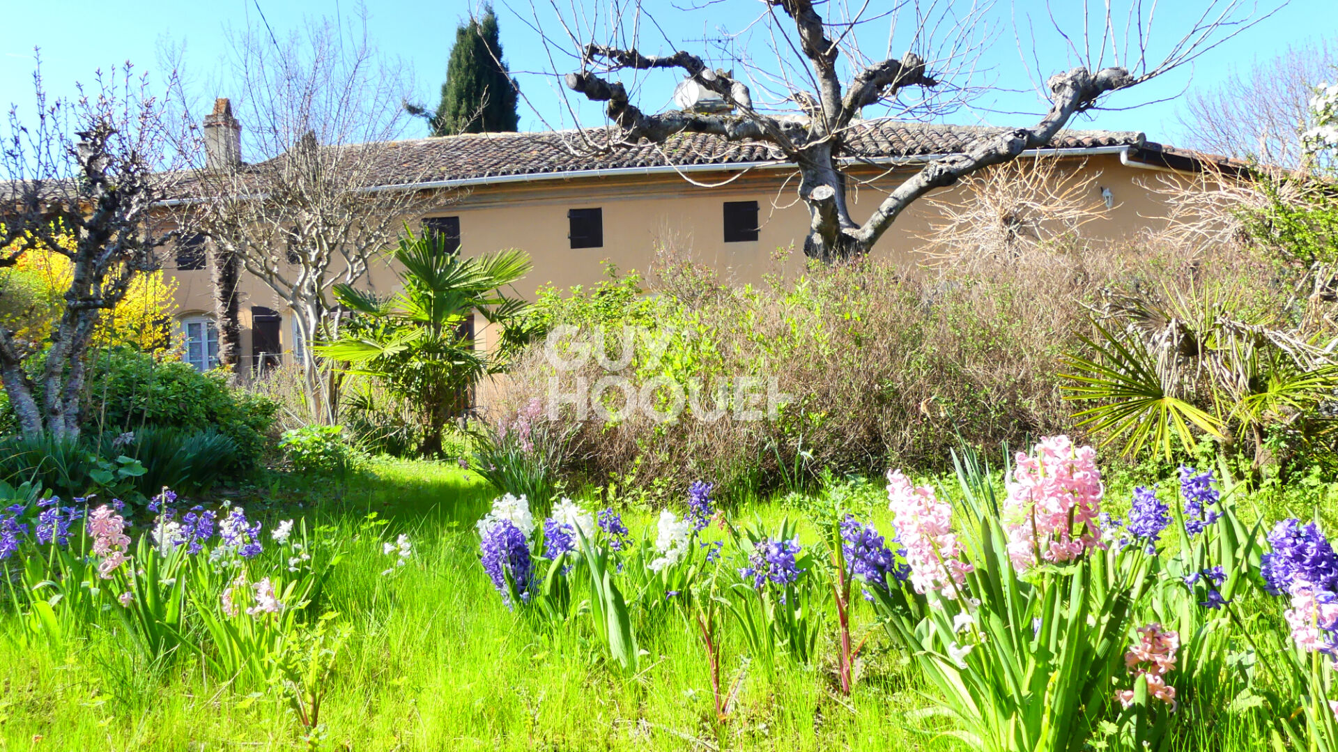 CHARMANTE FERME TOULOUSAINE A RENOVER A FRONTON (31620)