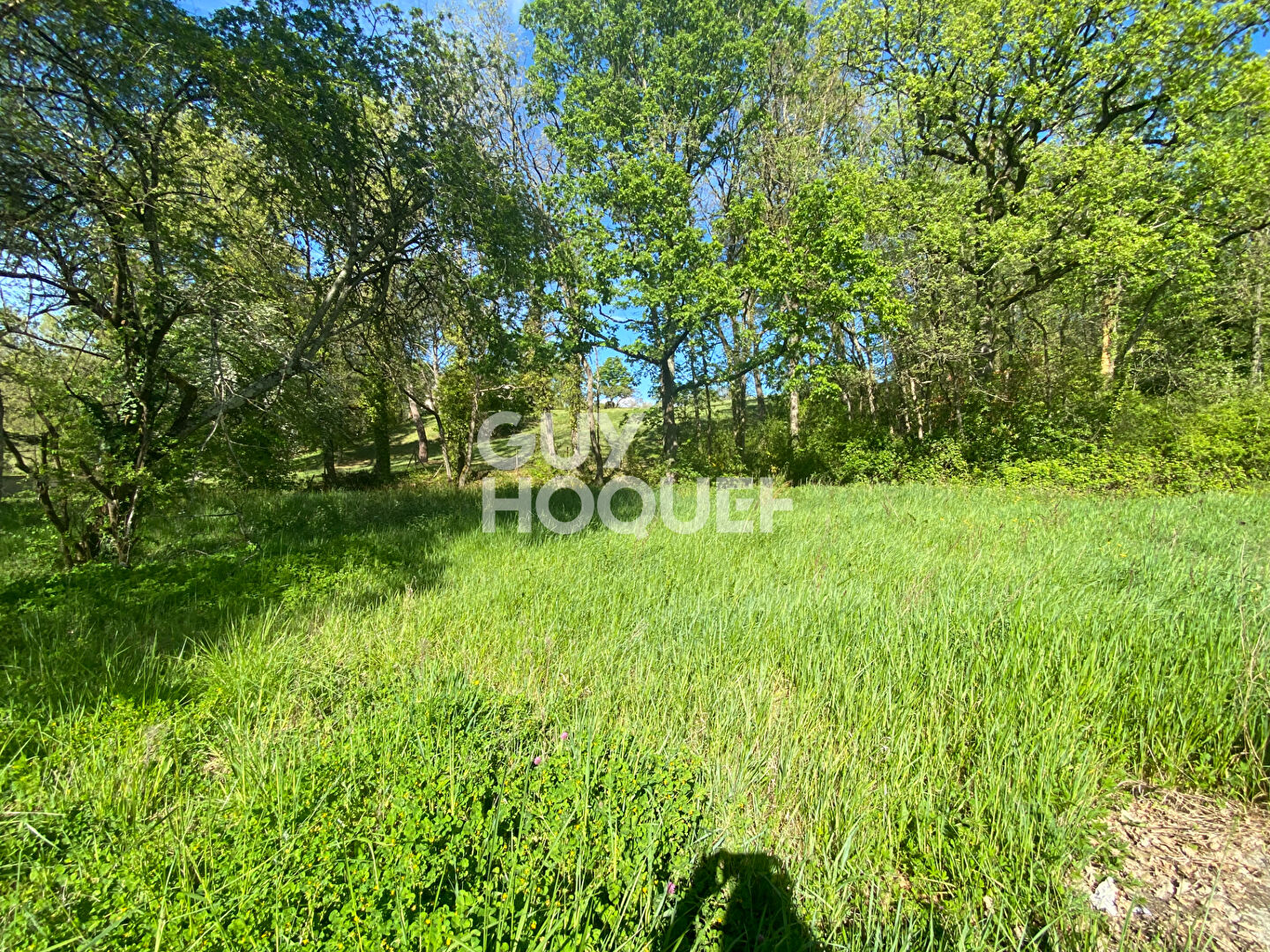 Terrain Fronton 1063 m2 5 mn centre ville