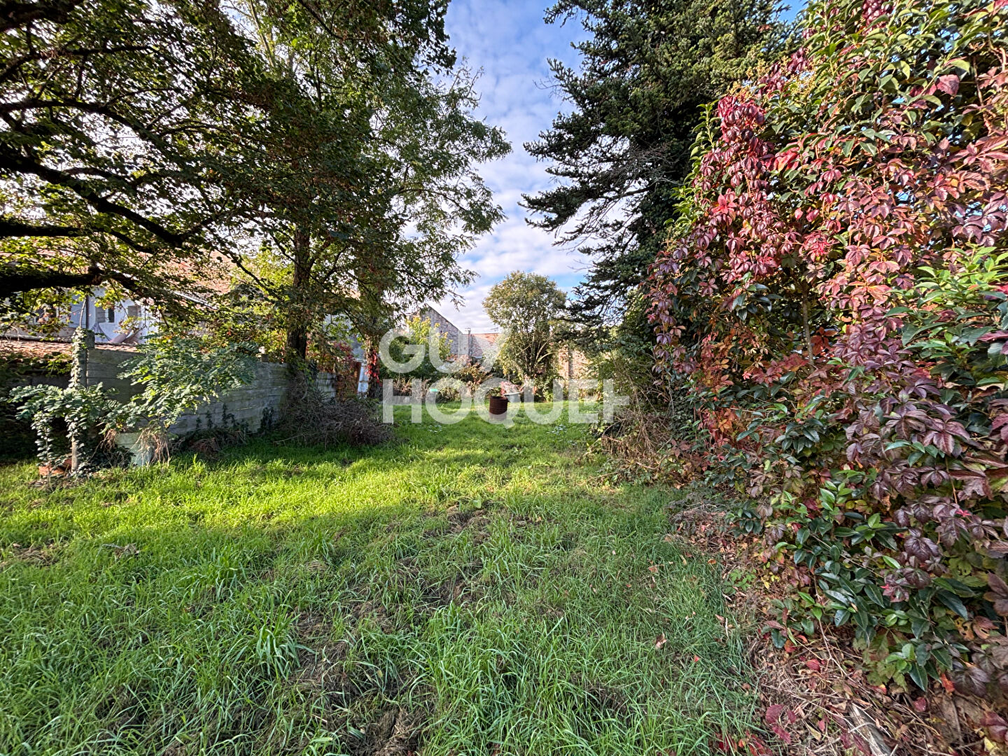 Belle endormie à rénovée