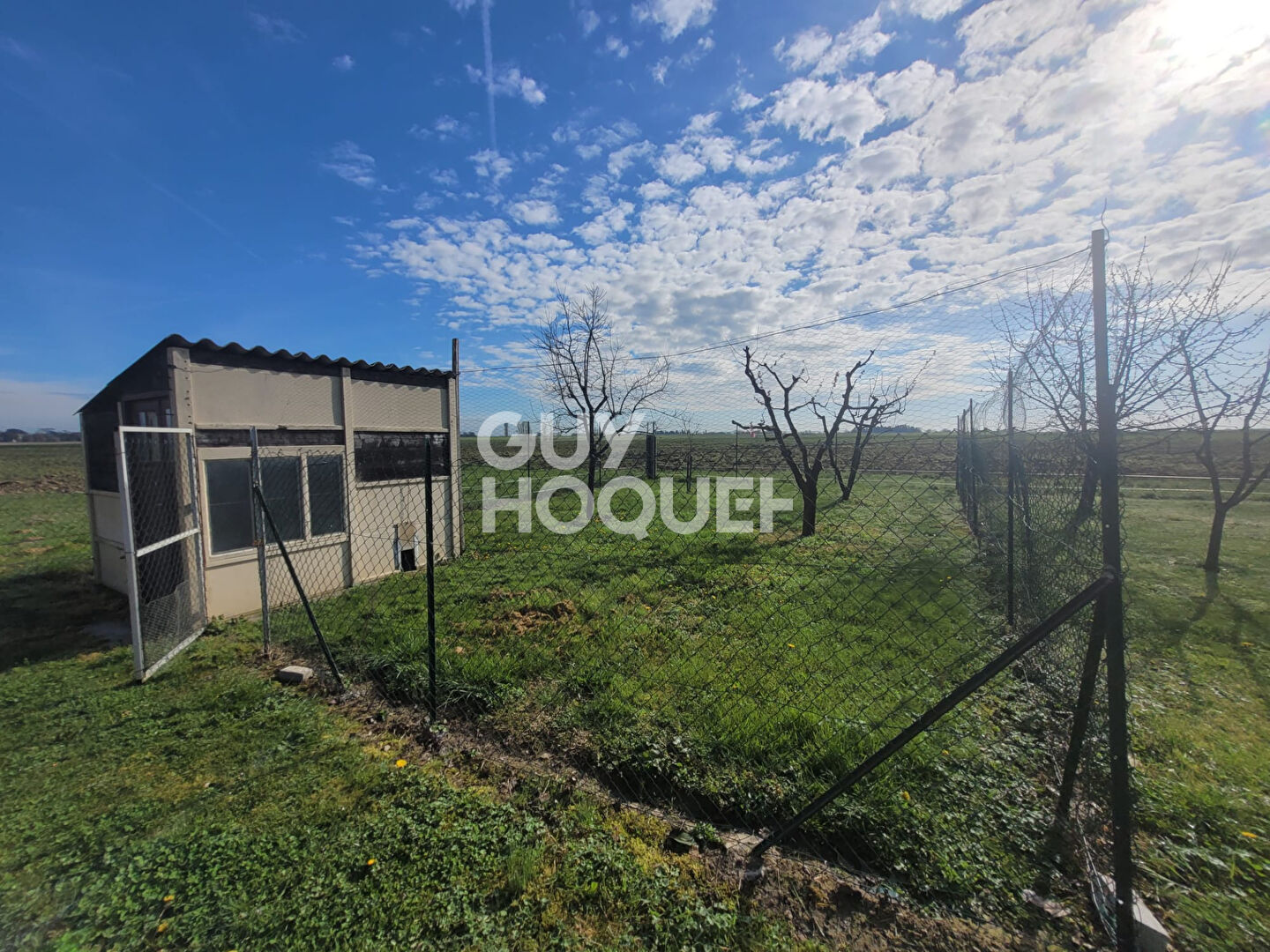 À Savenès ? Une propriété familiale avec dépendances, piscine et grand terrain arboré.
