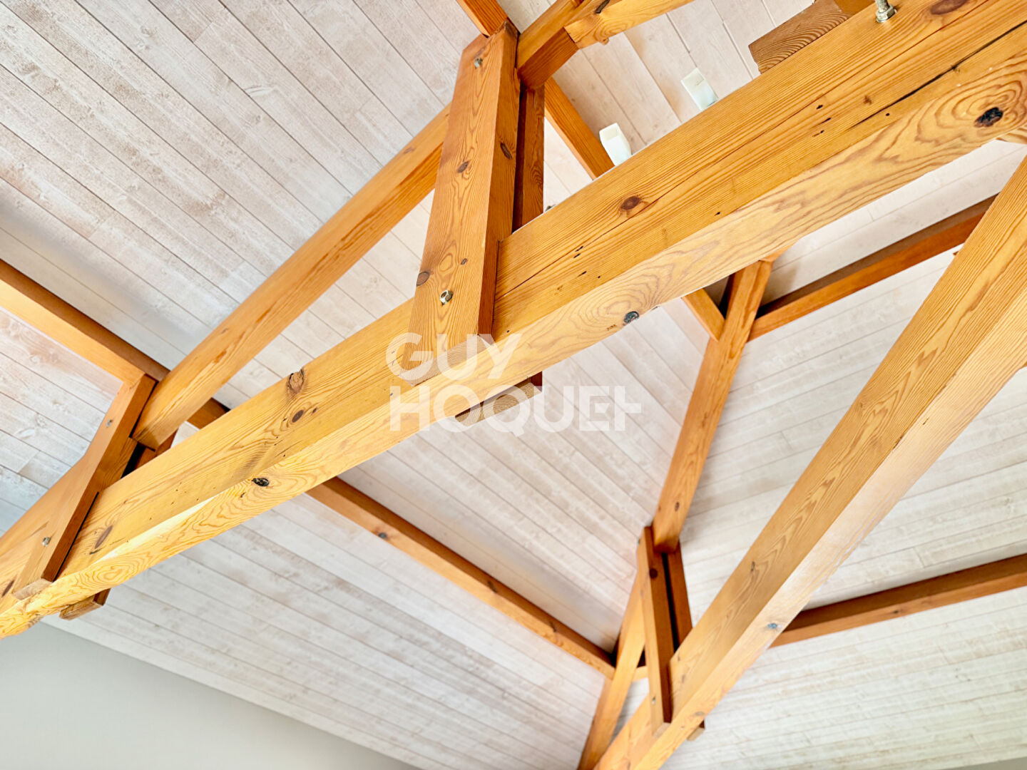 Charme, Calme et volumes à Meyran