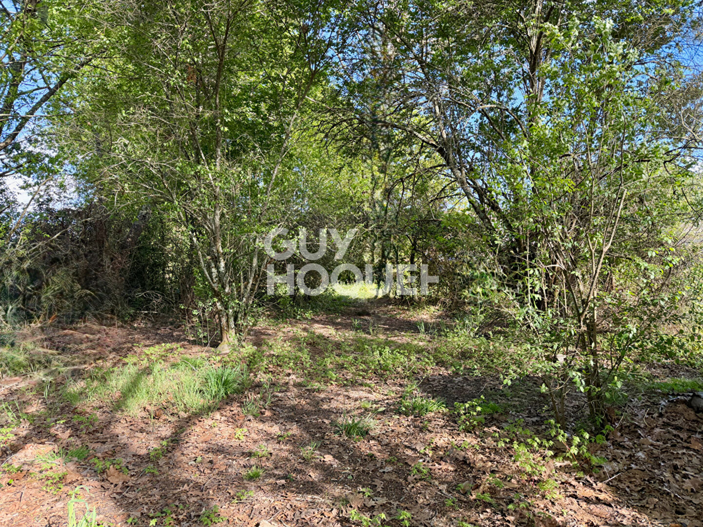 Terrain Libre de constructeur