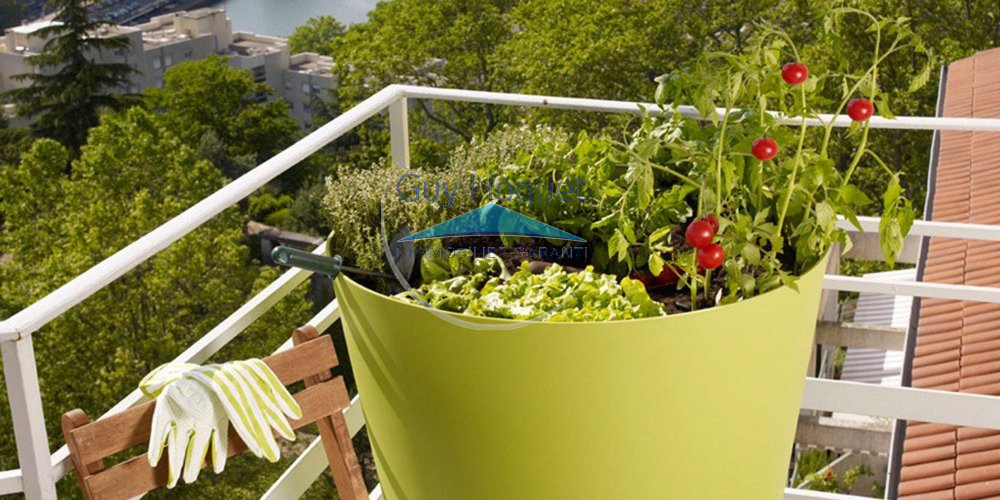 Le potager, un plaisir plébiscité par les Français