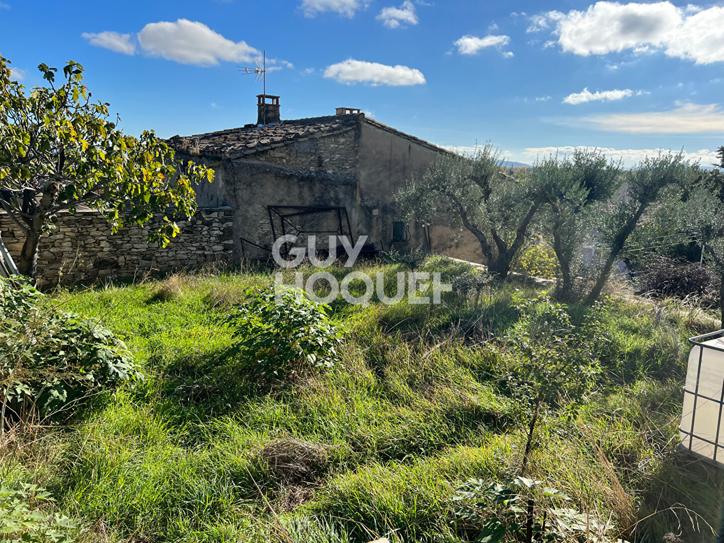 CAUMONT SUR DURANCE : ensemble immobilier et terrain à bâtir