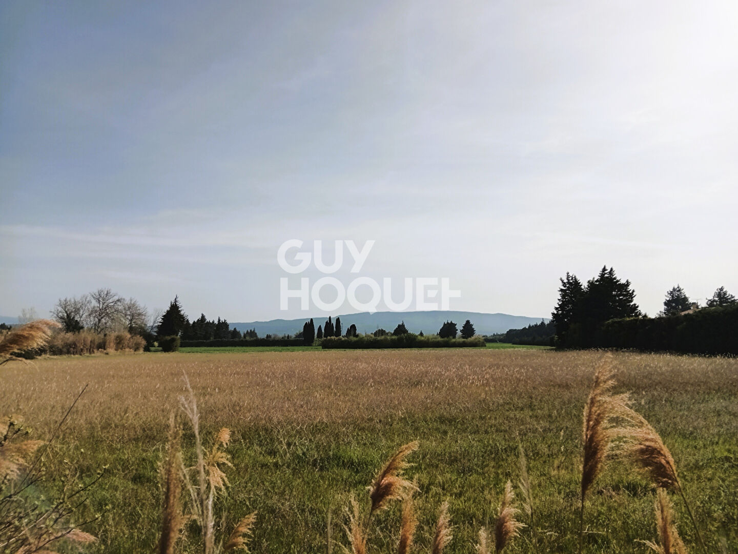 Propriété au Thor de 162 m² habitables AU CALME plus de 1900 m² de terrain