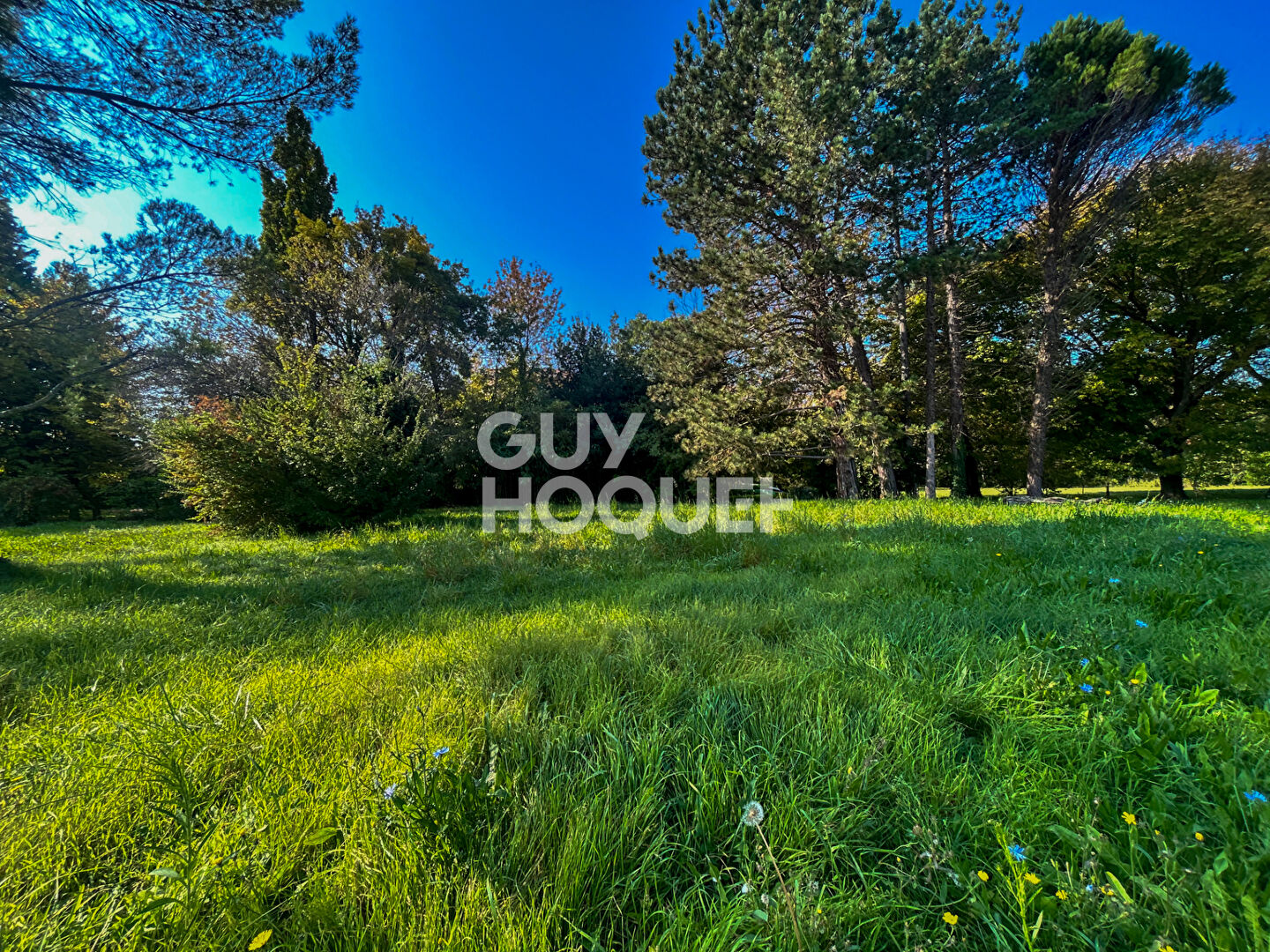 Propriété bord de sorgue