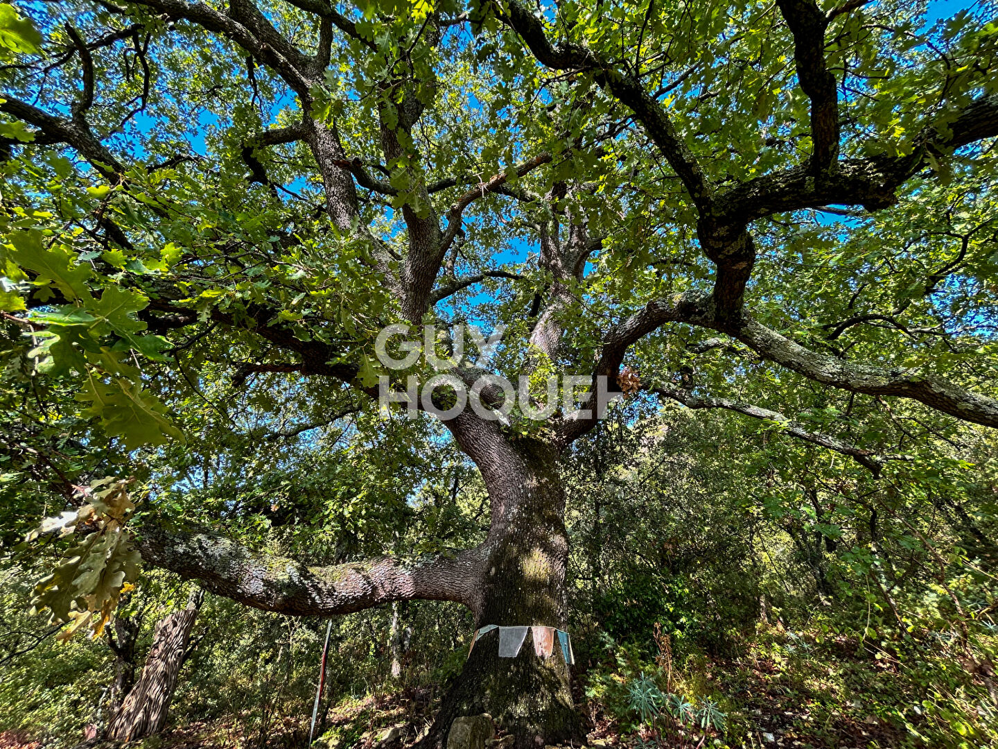 Mazet en pleine colline de Saumane-De-Vaucluse
