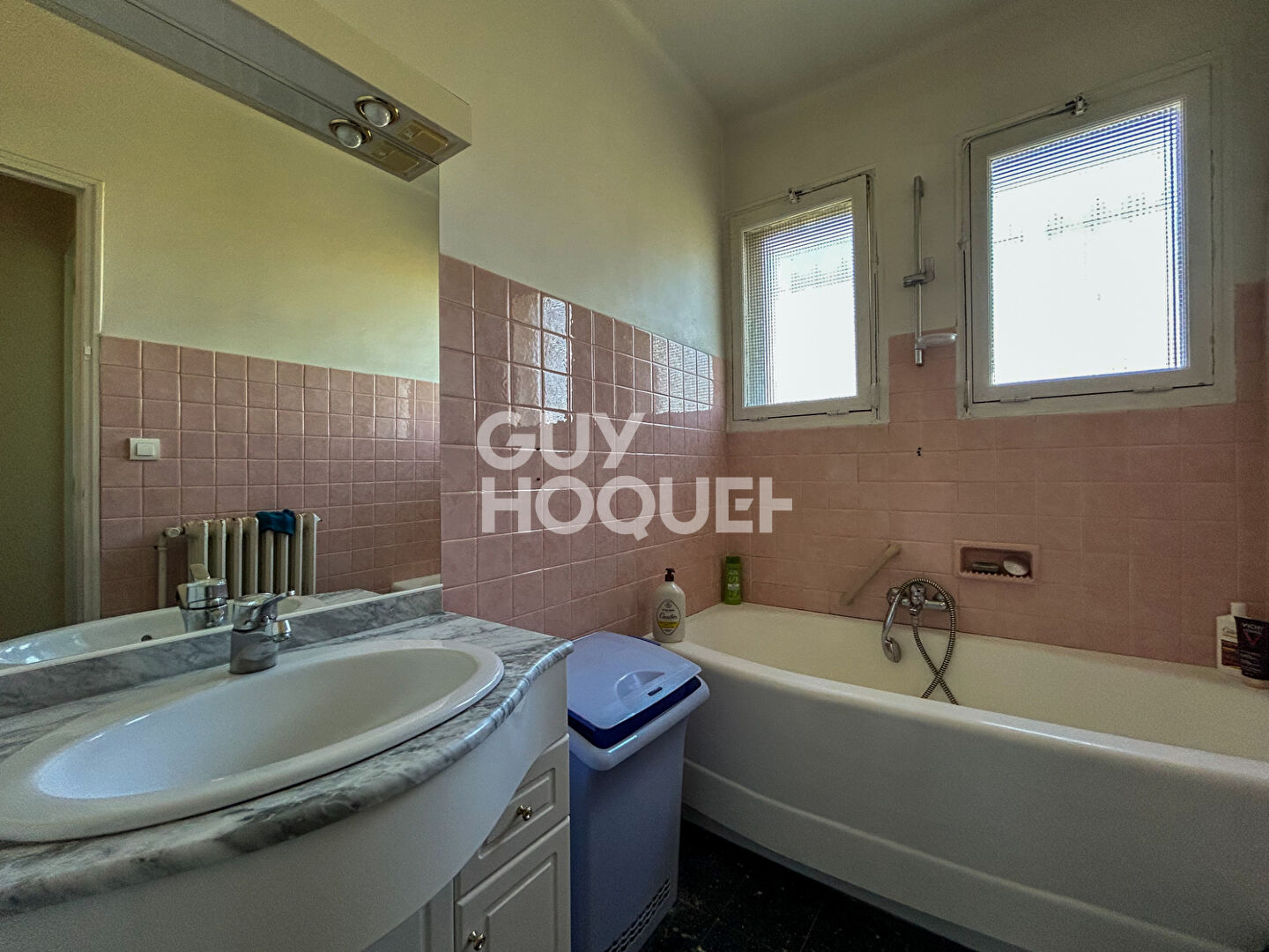 Appartement au Partage des eaux ISLE SUR SORGUE avec GARAGE et extérieur