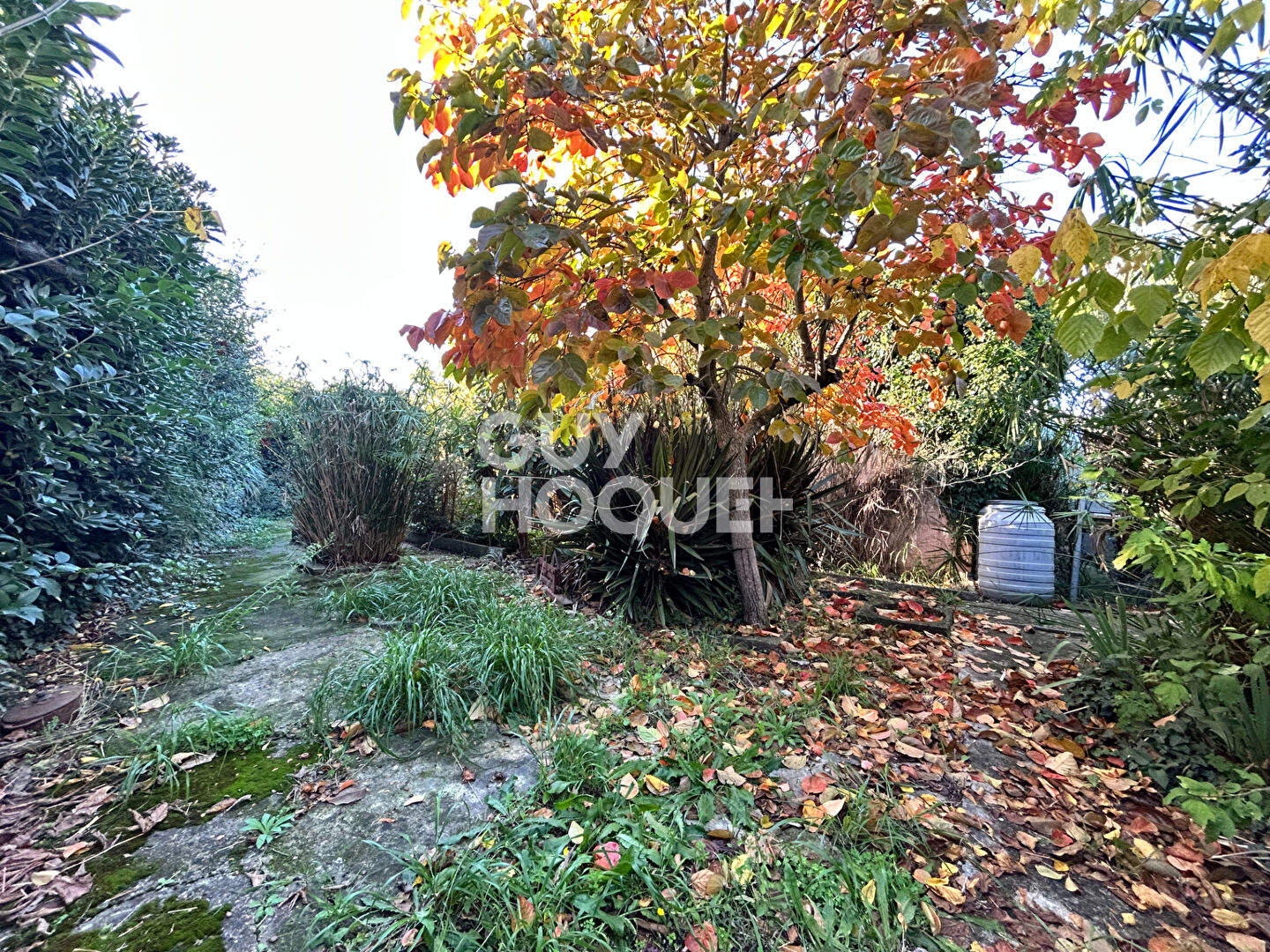 Maison à vendre à Morières les Avignon - Référence 3624