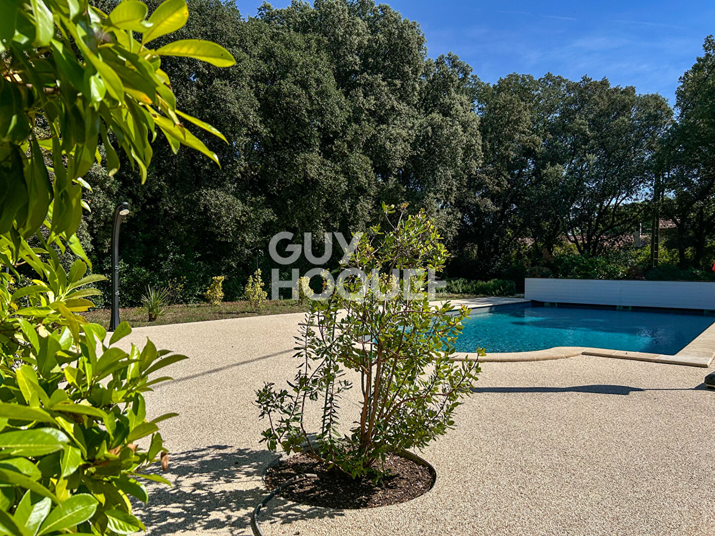 Propriété à Carpentras 6 pièces 235 m² et 153 m² de dépendances sur 6000 m² de terrain