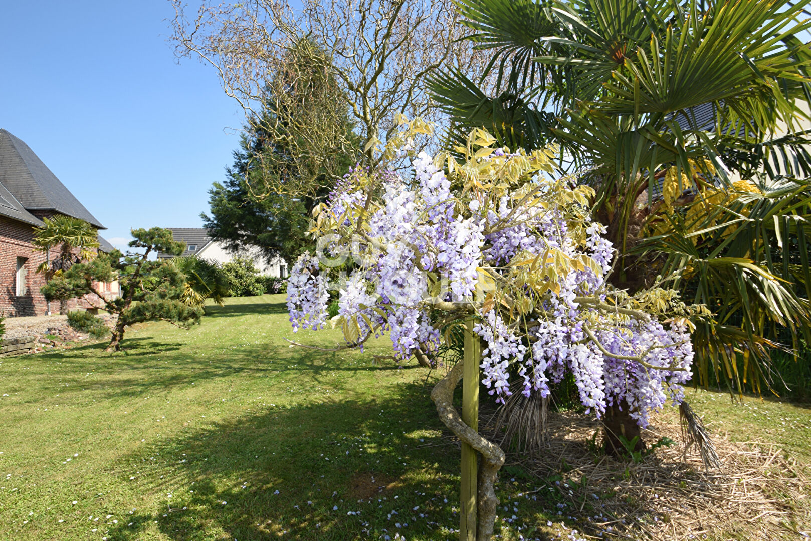 VIEUX MANOIR PROXIMITE CENTRE BOURG