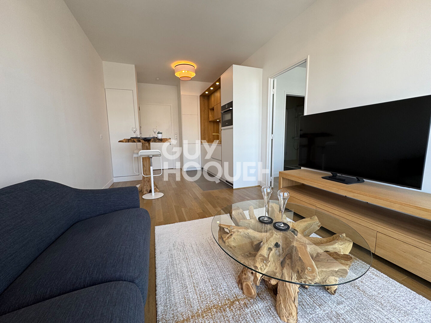 Appartement Issy Les Moulineaux 2 pièce(s) 40.72 m2