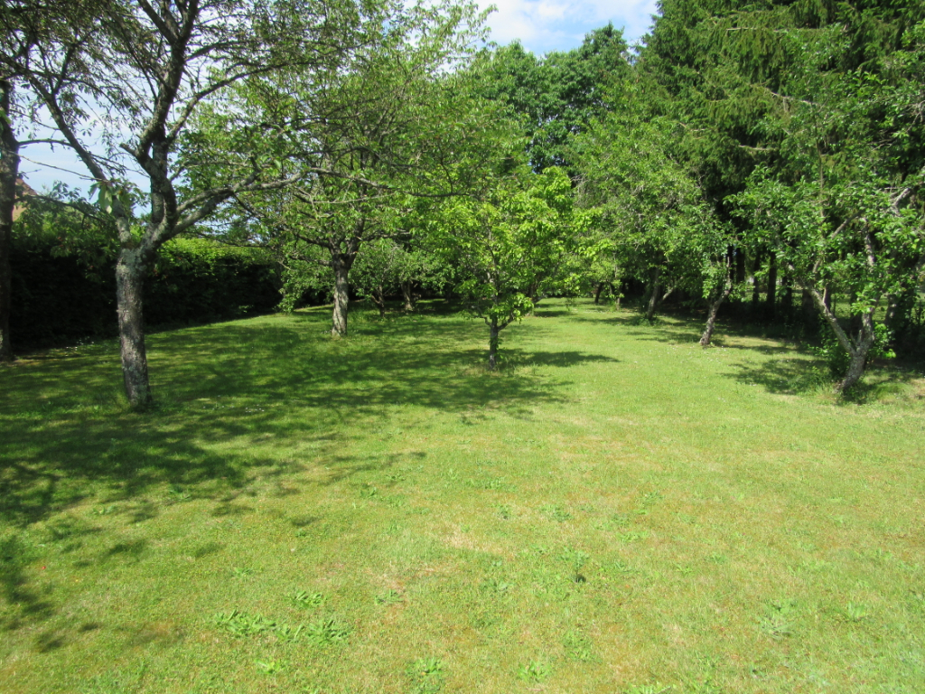 Terrain à bâtir