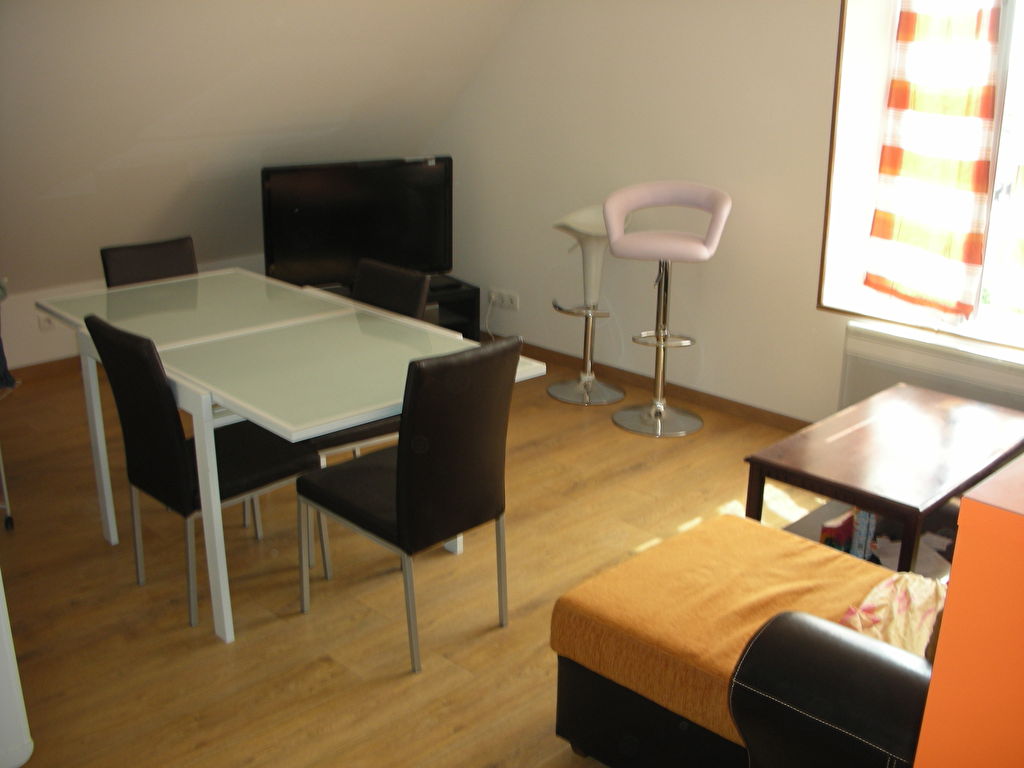 APPARTEMENT  VUE  LOIRE