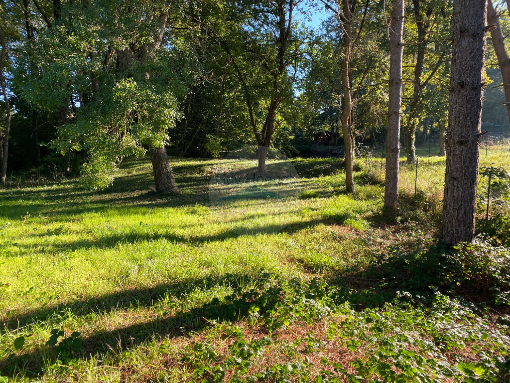 Terrain Chateauneuf Sur Loire 4000 m2