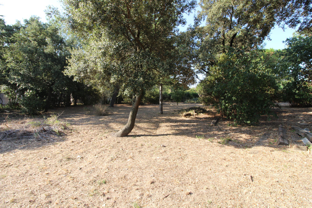 Terrain Langlade 1200 m2