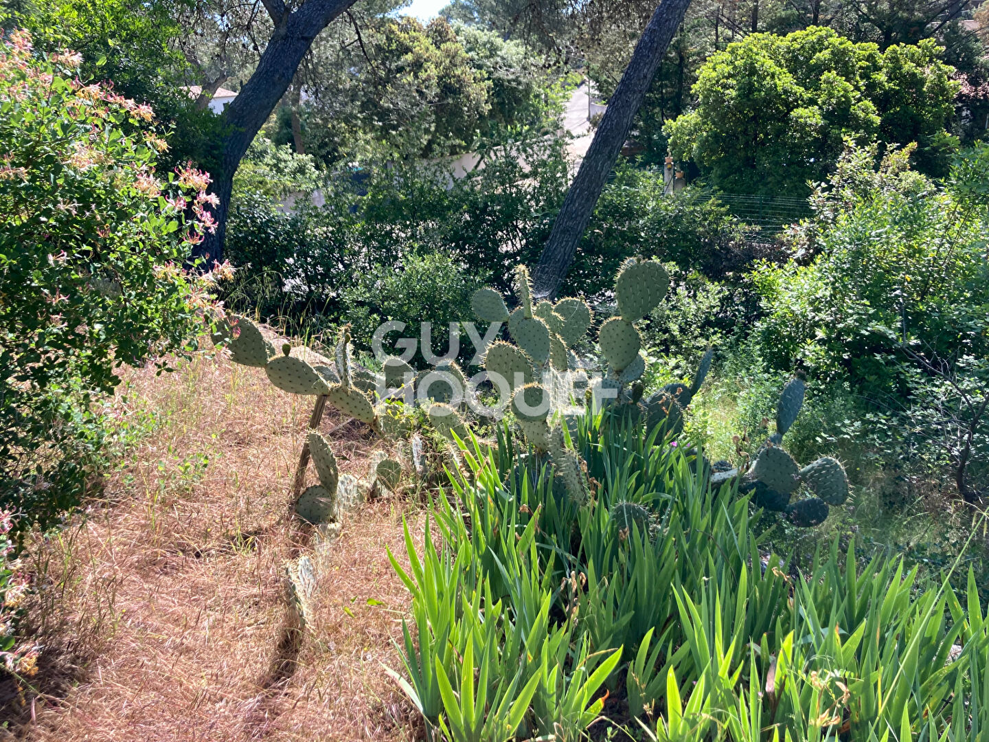 Terrain à vendre à CAVEIRAC