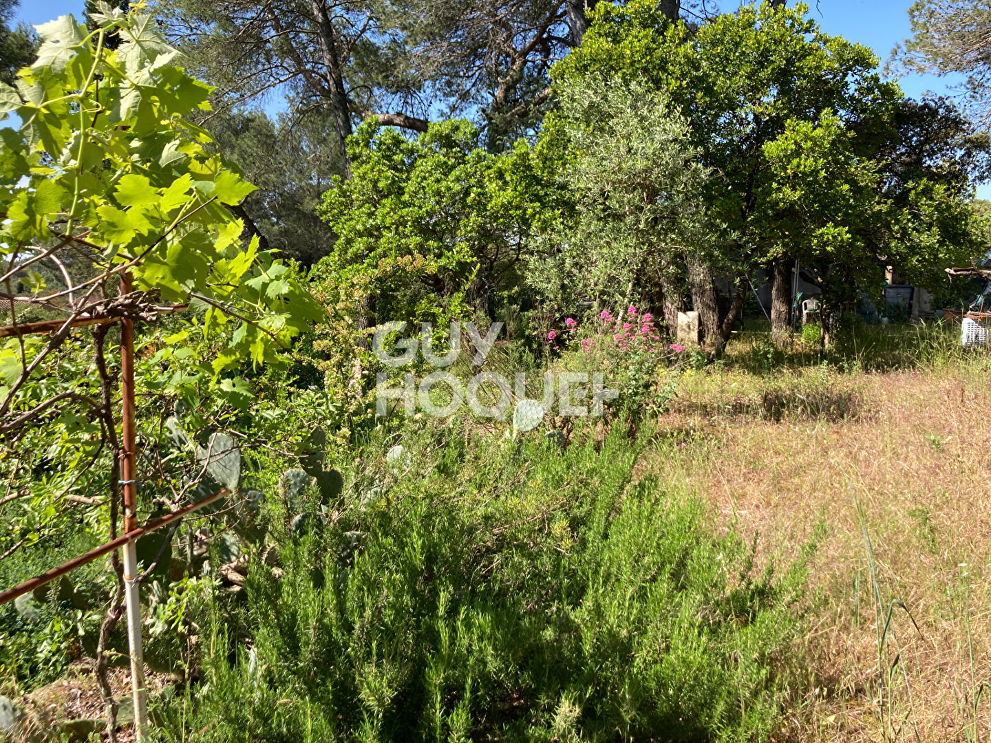 Terrain à vendre à CAVEIRAC