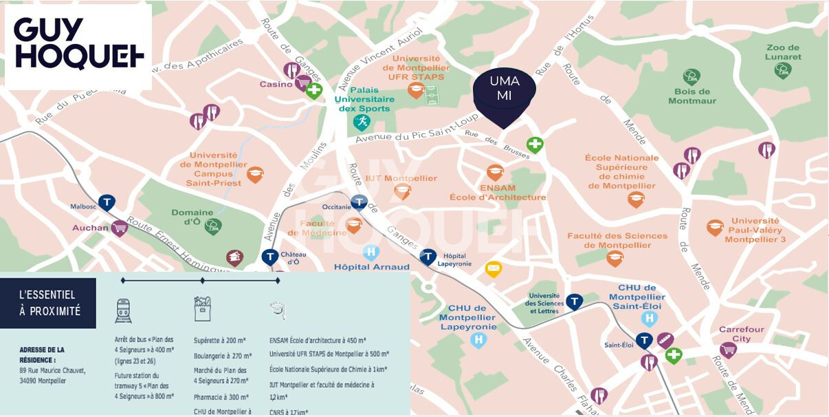 Studio Montpellier: première ville étudiante de France