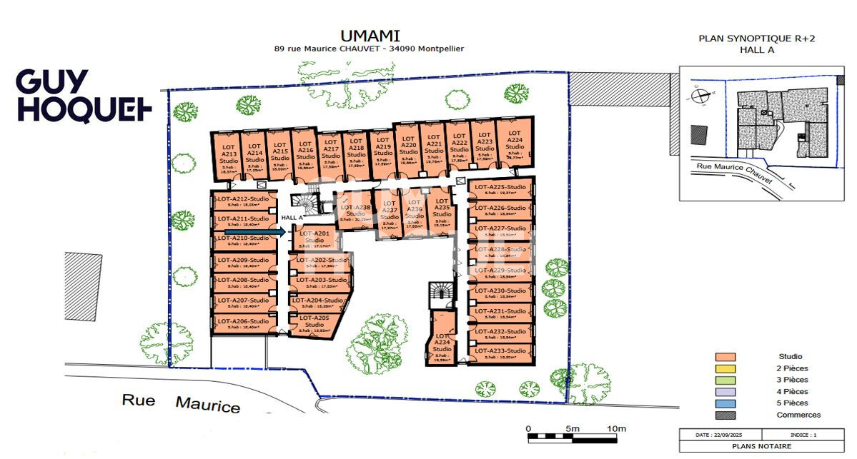 Studio Montpellier: première ville étudiante de France