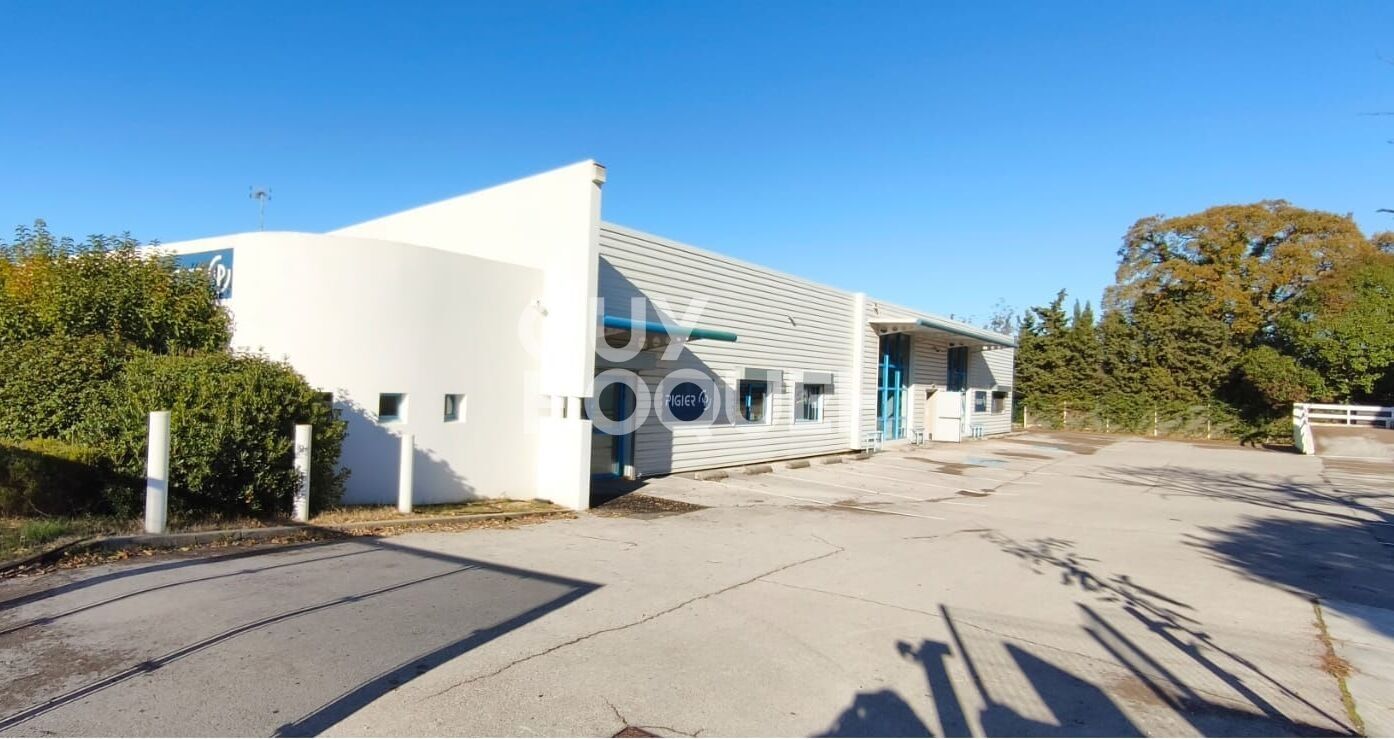 Bureaux Montpellier 880 m2+ 38 places de parking