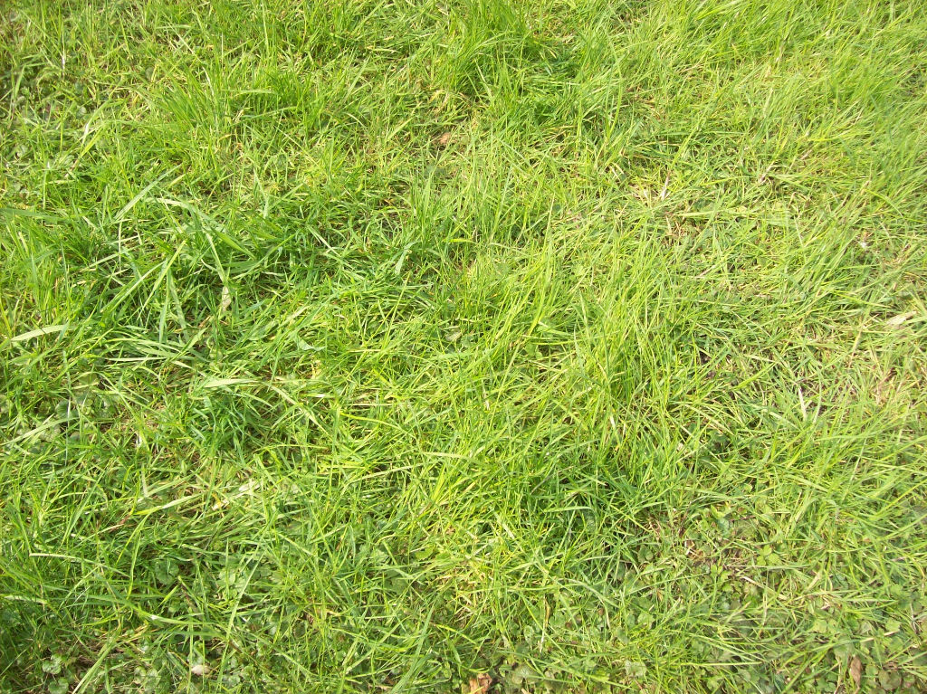 Terrain 399m² Quartier des Plantes