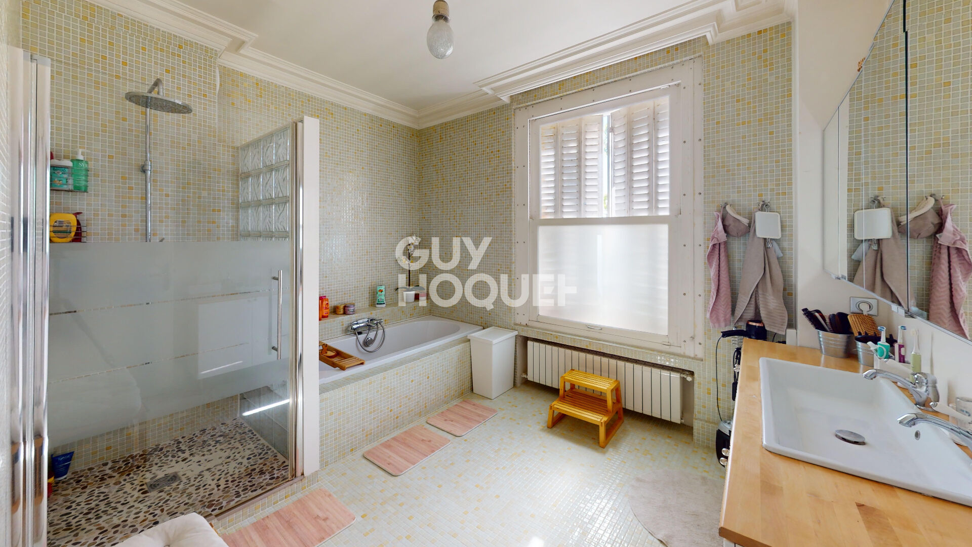 Maison d'Exception à Vendre à Athis Mons - 205 m² de Prestige sur Terrain de 756 m²