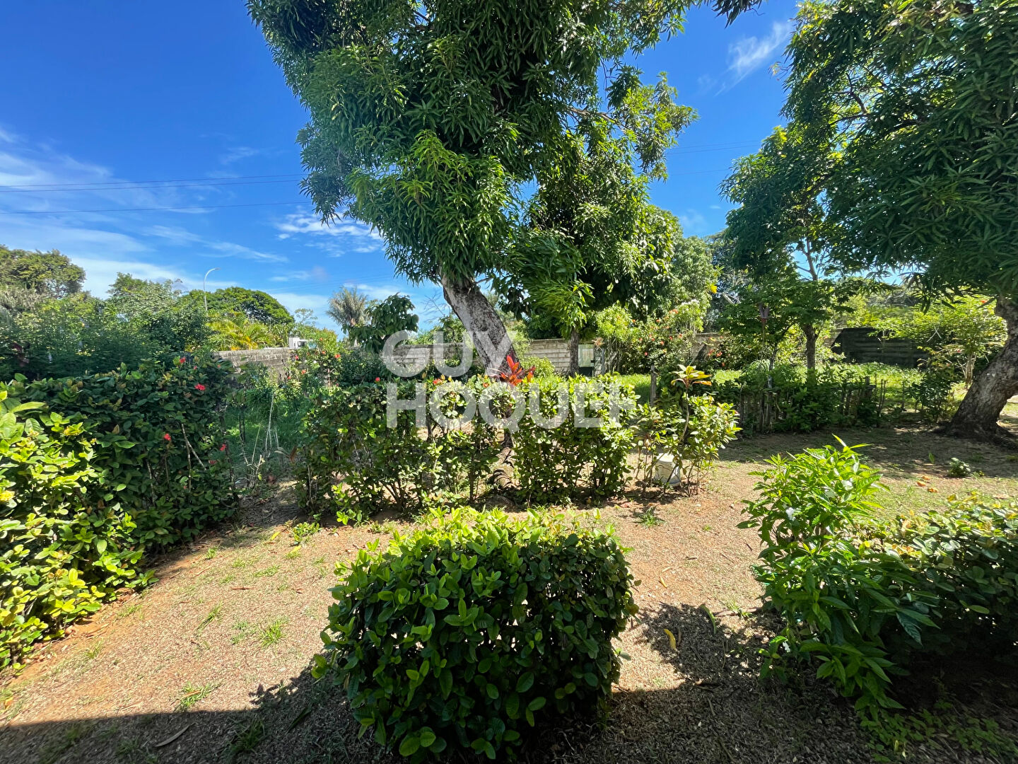 Maison T4 - Macouria