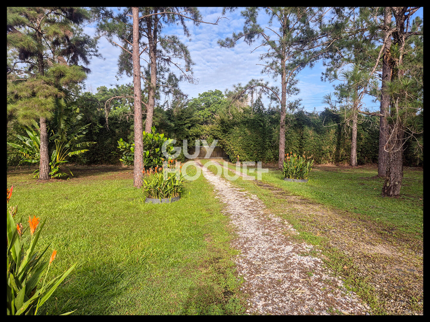 Villa meublée de Charme avec Piscine et Jardin à 10 minutes de Kourou