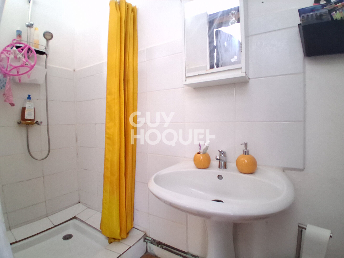 Maison de pays + 2appts A VENDRE