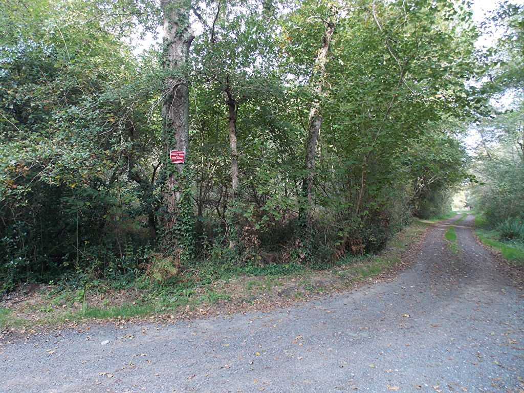 Terrain non constructible boisé