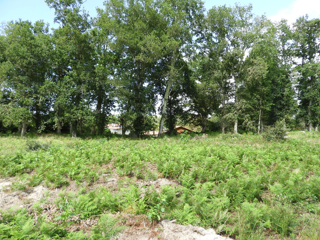 terrain à bâtir 898 m² CAPBRETON